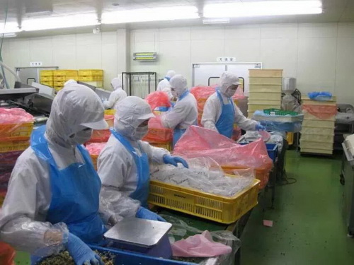 1543040969466035.jpg 16.jpg