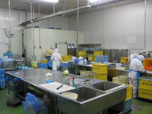 1543041160531393.jpg 19.jpg