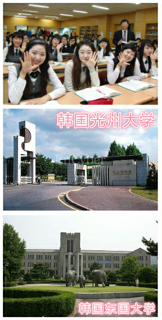 1546934399892179.png blob.png